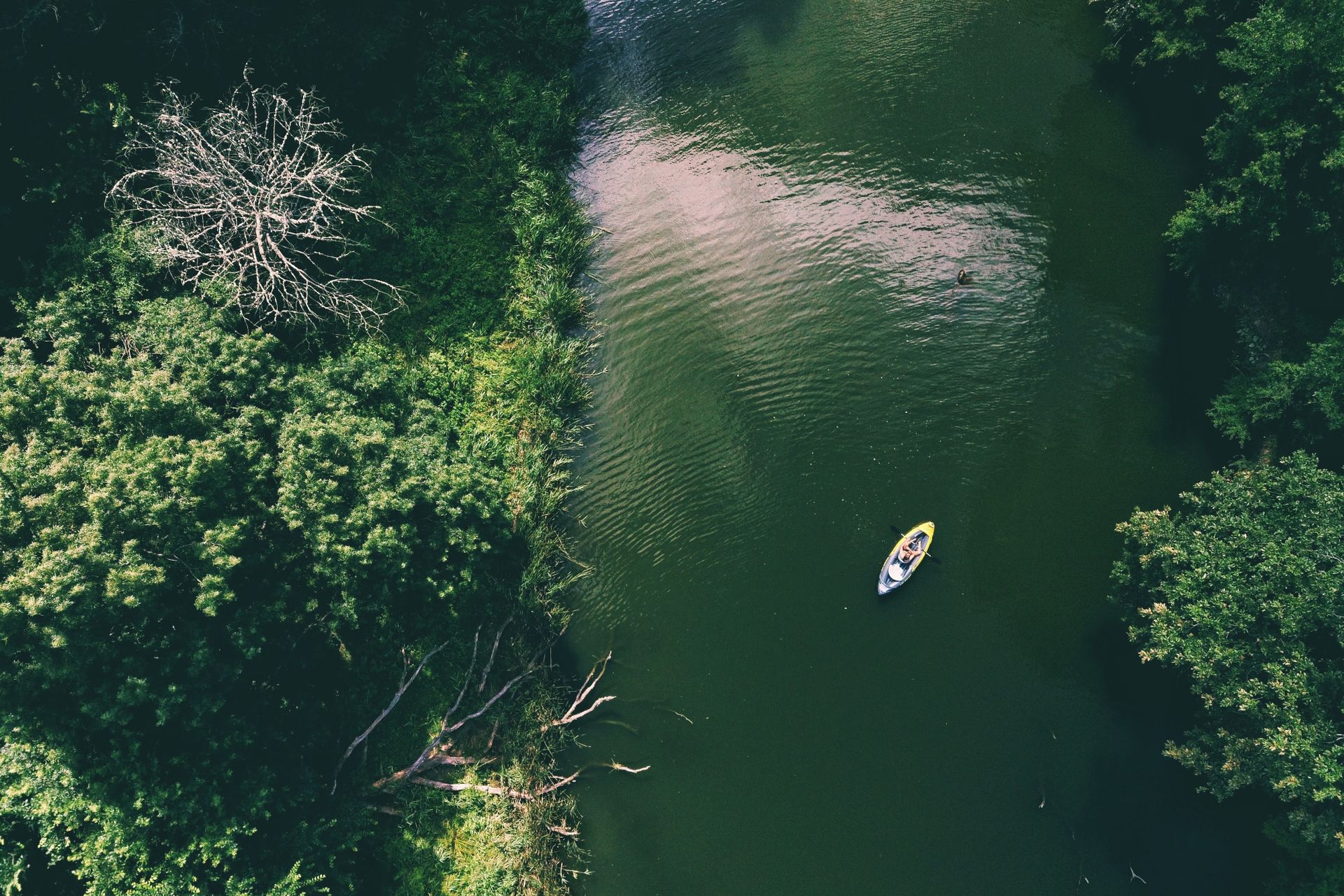 Aerial view of a kayaker drifting down a quiet river through lush green forest